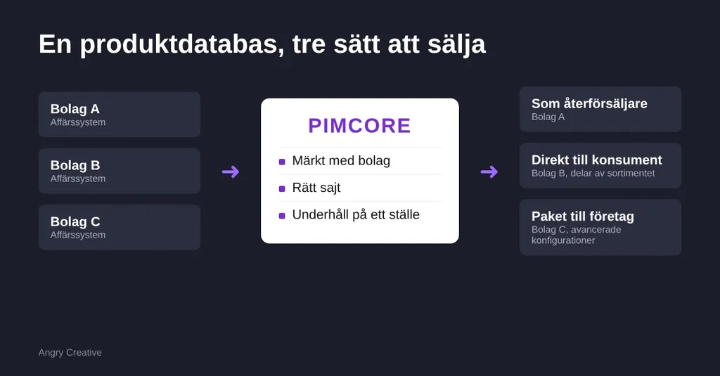 Tre bolag med var sitt affärssystem samlar sina produkter i en gemensam produktdatabas i Pimcore, som skickar varje produkt till rätt webbutik.
