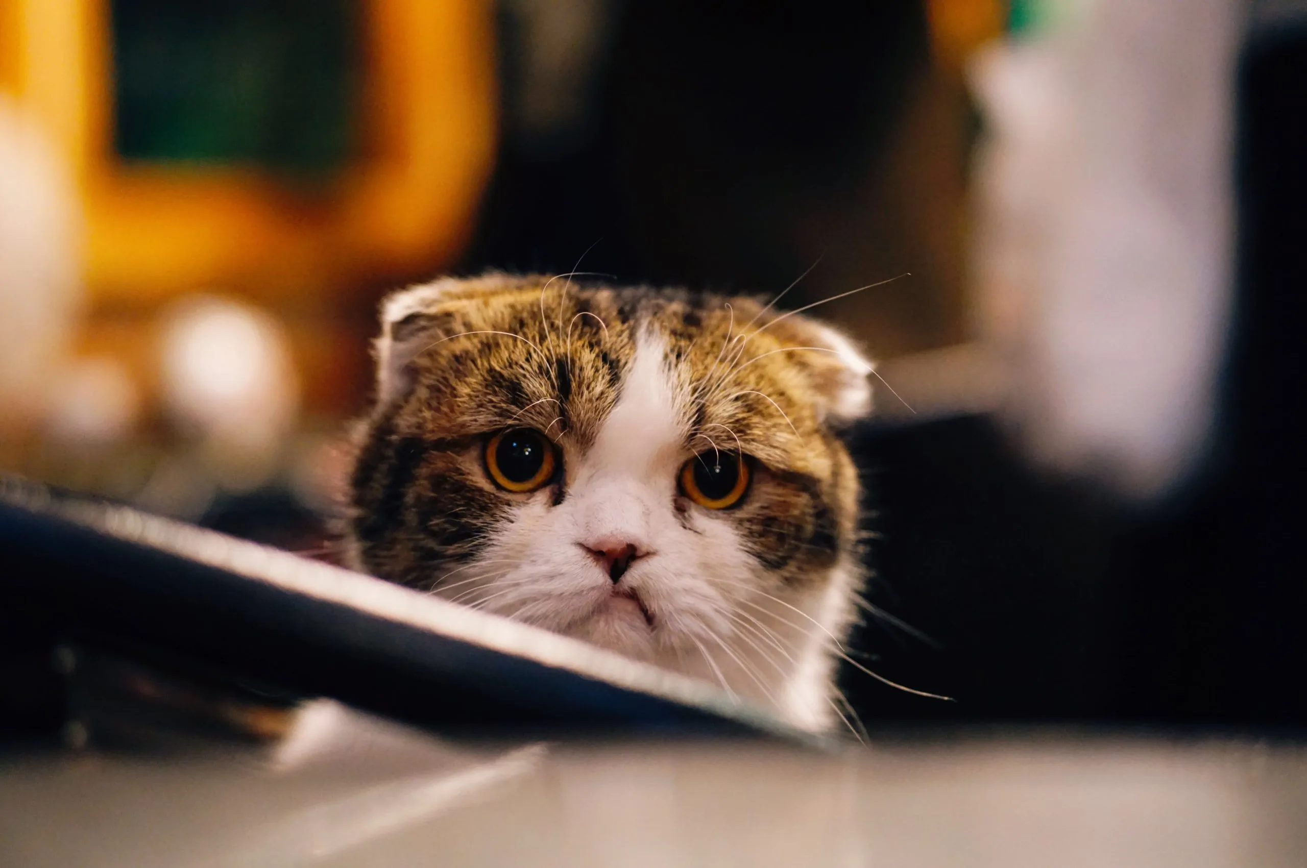 Why We Are Called Angry Creative | Angry Creative