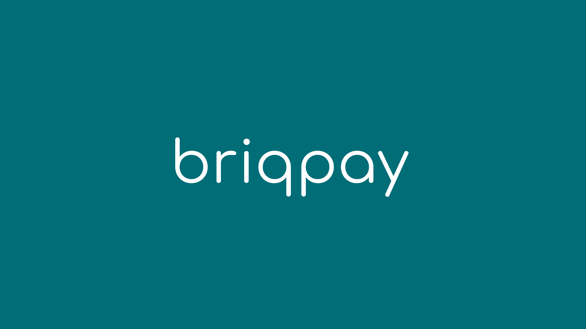 briqpay-feat